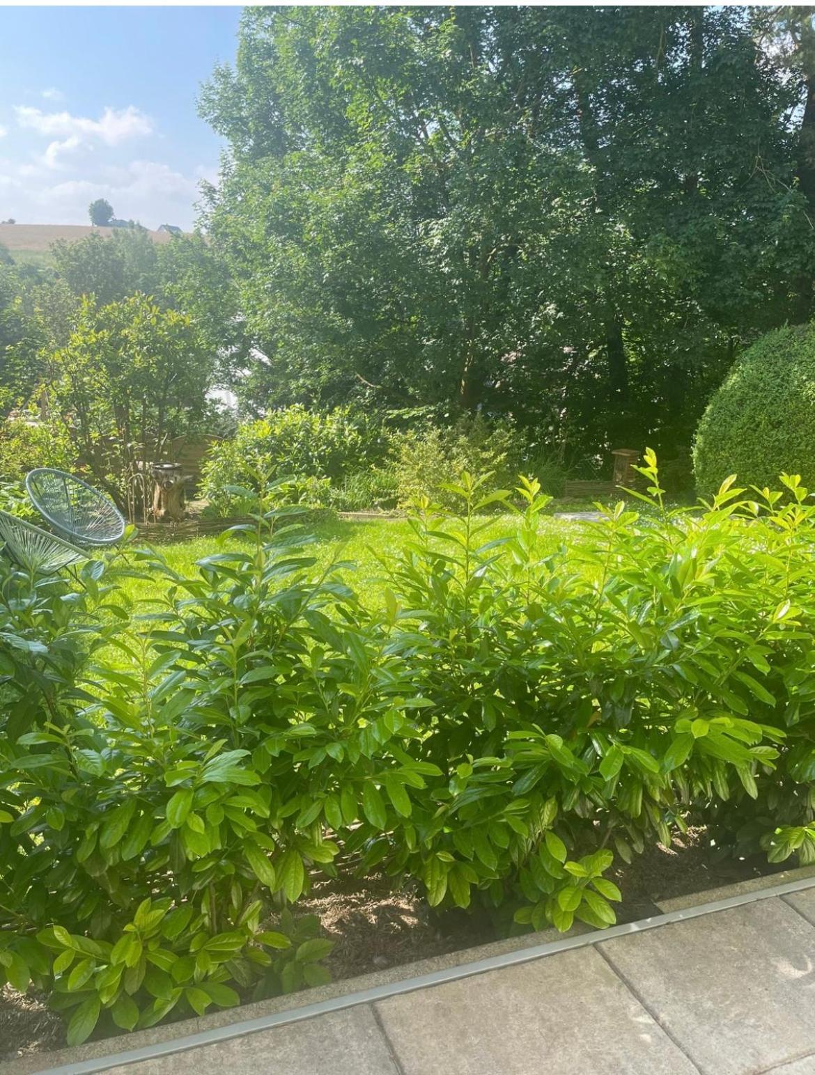 "Zur Gelassenheit" In Jugendstilvilla Sonnenschein Stolberg  Buitenkant foto